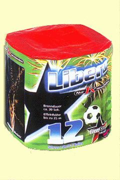 Libero 12 Schuss  30 Sek.  25 m