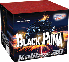 Black Puma     12 Schuß  20 Sek.   20 m