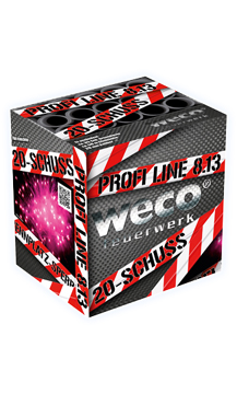 Profi Line  8.13   20 Schuß  35sek.  50m