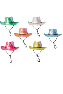 Cowboy Hut Holodelic