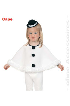 Cape Schneemann 104