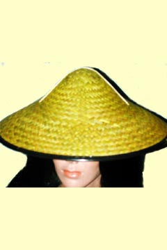 Chinese flache Form