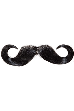 Bart Franzose schwarz inkl Klebestreifen