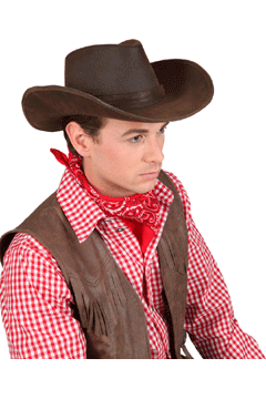 Cowboy-Hut Tom braun