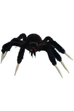 Spinne 50 cm