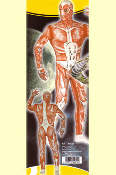 Körper-Welten Skinned Alive L