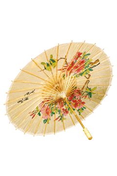 Chinesischer Schirm