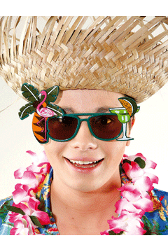 Brille Hawaii