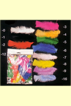 100 Putenfedern 11 versch Farben