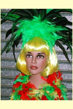 Boa -Feder (Amazonas) rot/grün/gelb