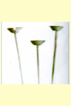 Ballon - Stäbe