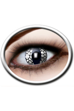 white dragon (1 Jahreslinsen) Diameter 14,5mm