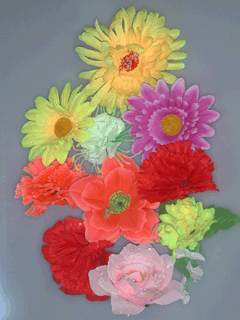 Blumen-Sortiment 16 verschiedene Stück