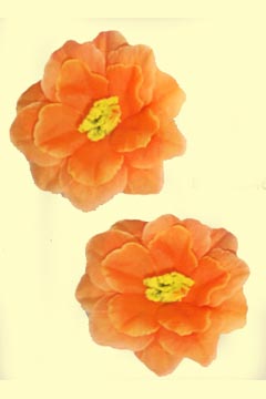 Aurora orange 12cm Durchm