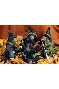 3 Hexenratten 24 x 7 cm mit Kessel A