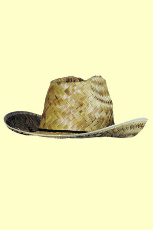 Cowboy Strohhut Dallas natur