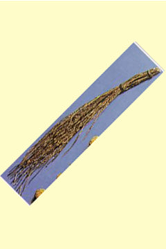 Rute aus Naturmaterial ca 50cm lang